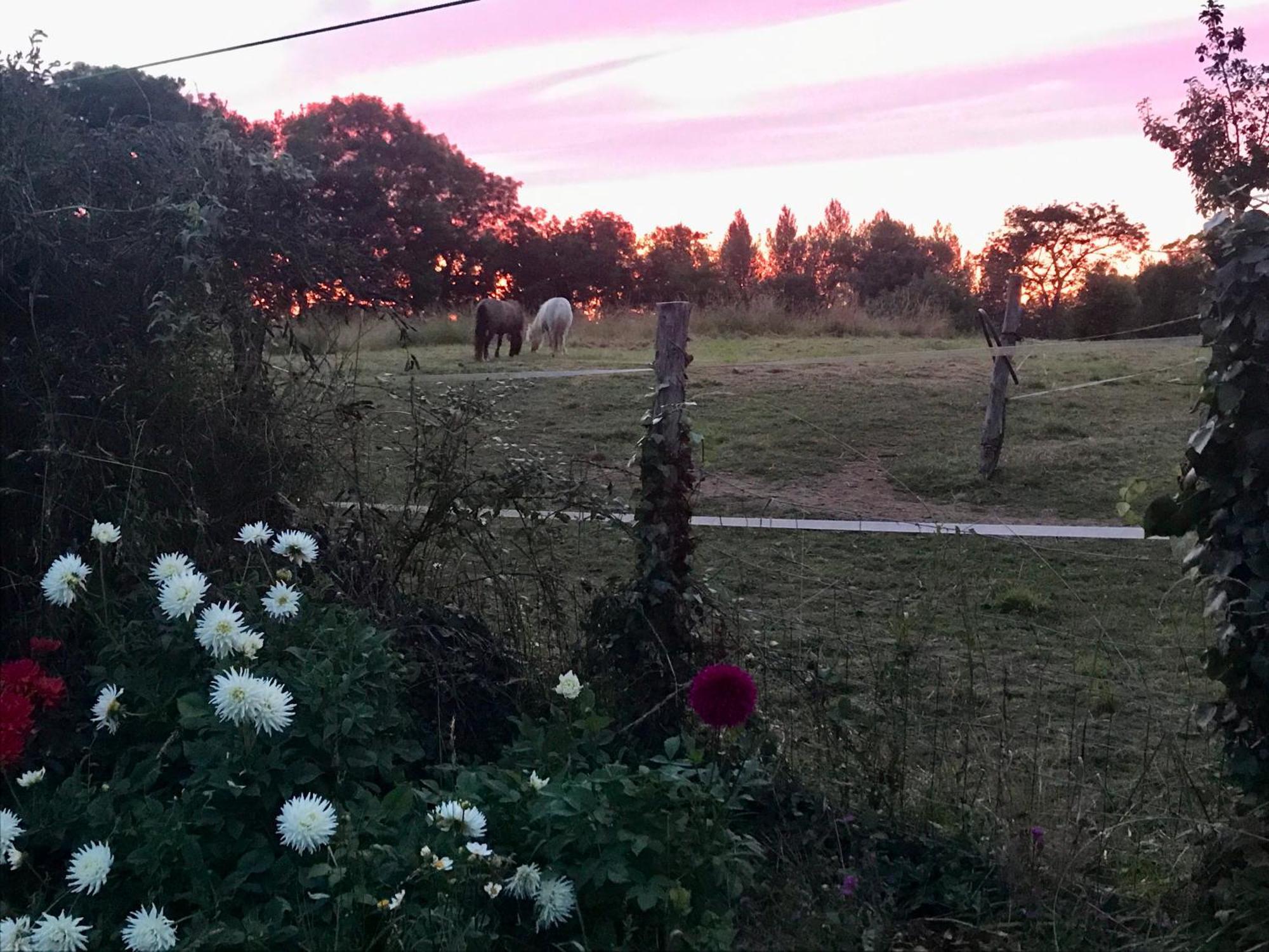 Longere En Bretagne * Nouvoitou